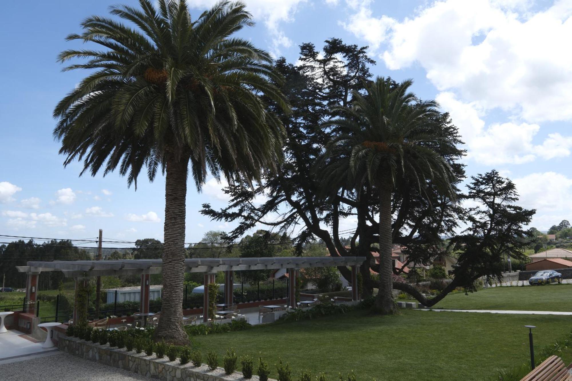 Hotel El Rosal De 库迪列罗 外观 照片